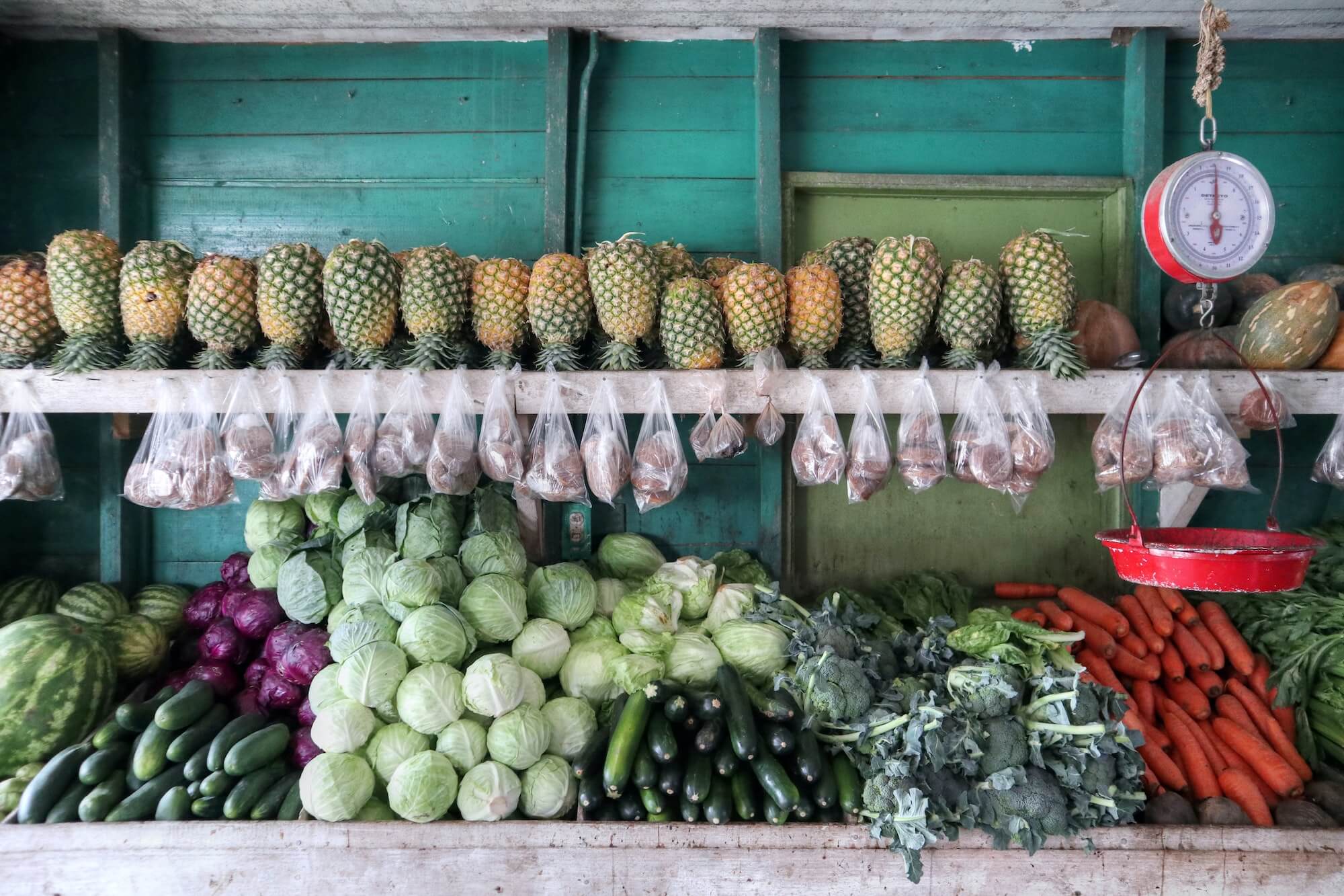 Grocery shopping in Panama