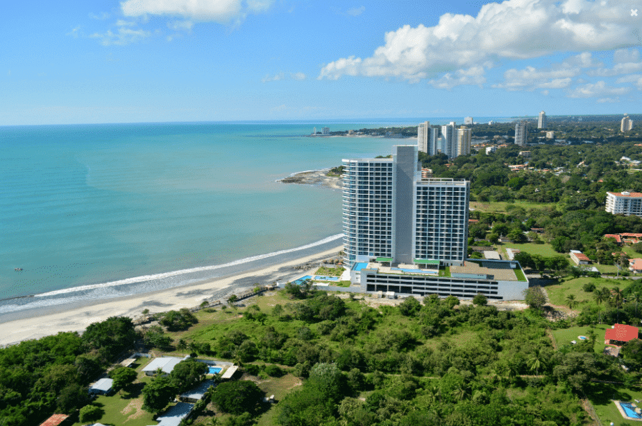 Royal Palm View