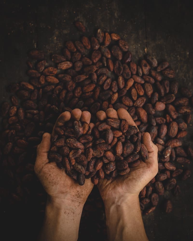 Chocolate in Panama Tourism