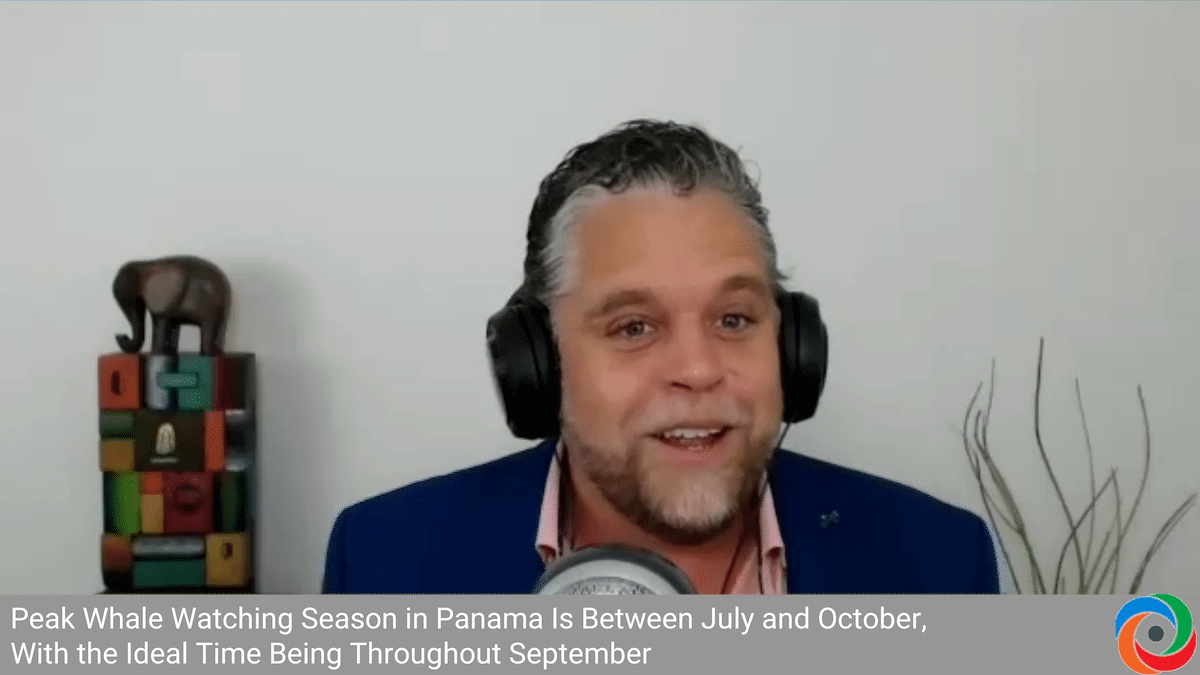 Austin Hess - Founder Panama Good Times